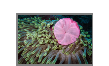 Malediven 2012