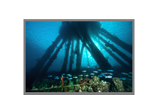 Bonaire, etliche Jahre