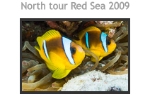 North tour Red Sea 2009