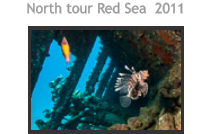 North tour Red Sea  2011