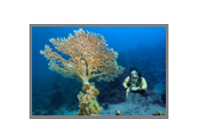 Rotes Meer 2018