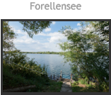 Forellensee