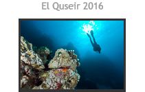 El Quseir 2016