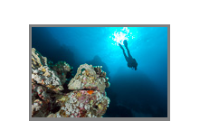 El Quseir 2016