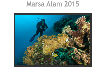 Marsa Alam 2015