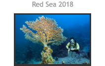 Red Sea 2018