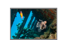 North tour Red Sea  2011