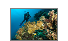 Marsa Alam 2015